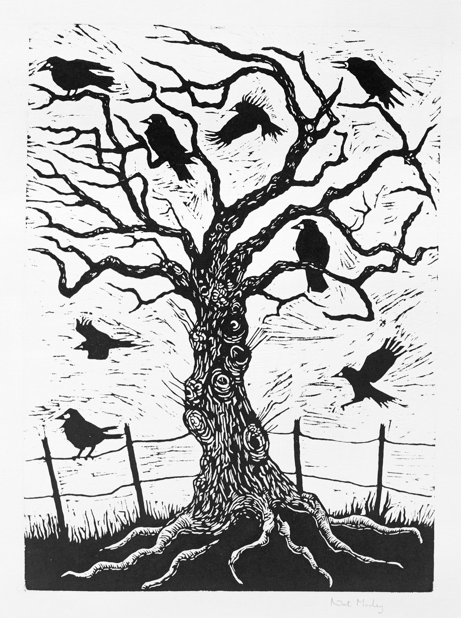 Rook Tree, 1999 od Nat Morley