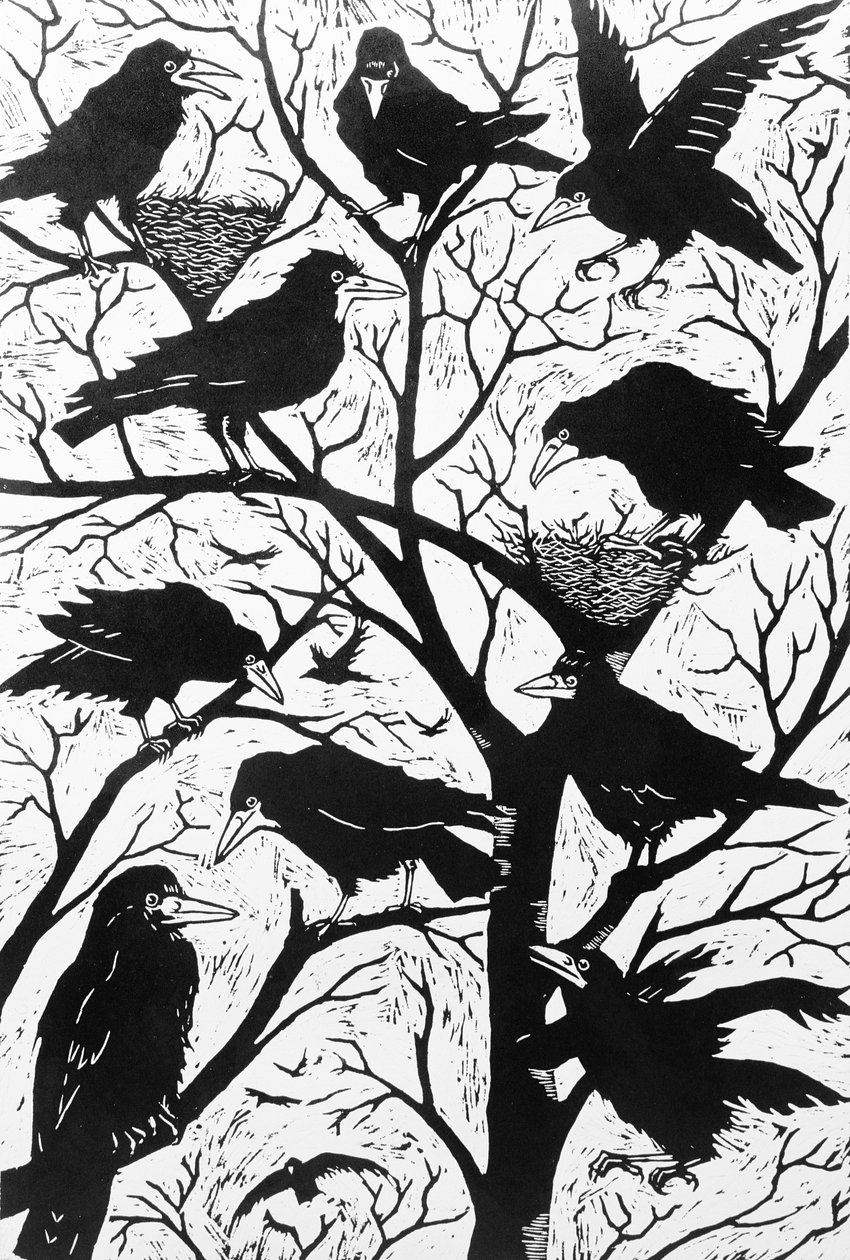 Rooks, 1998 od Nat Morley