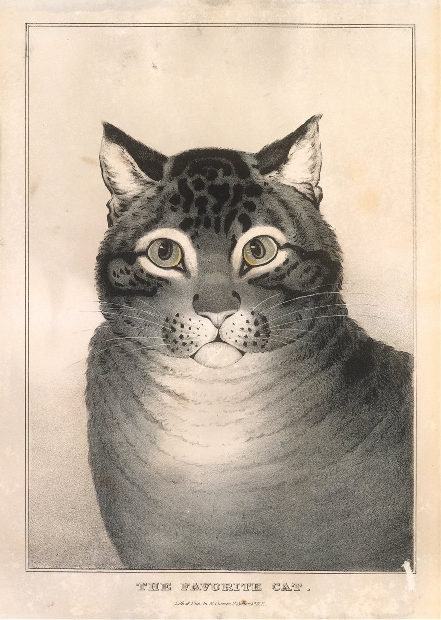 Oblíbená kočka, 1838-46., 1838-46. od Nathaniel Currier