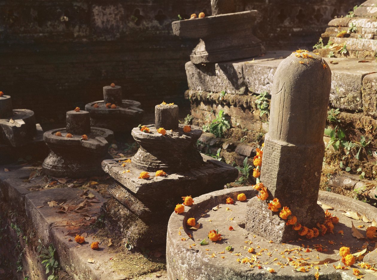 Shiva lingams v chrámu Pashupatinah od Nepalese School