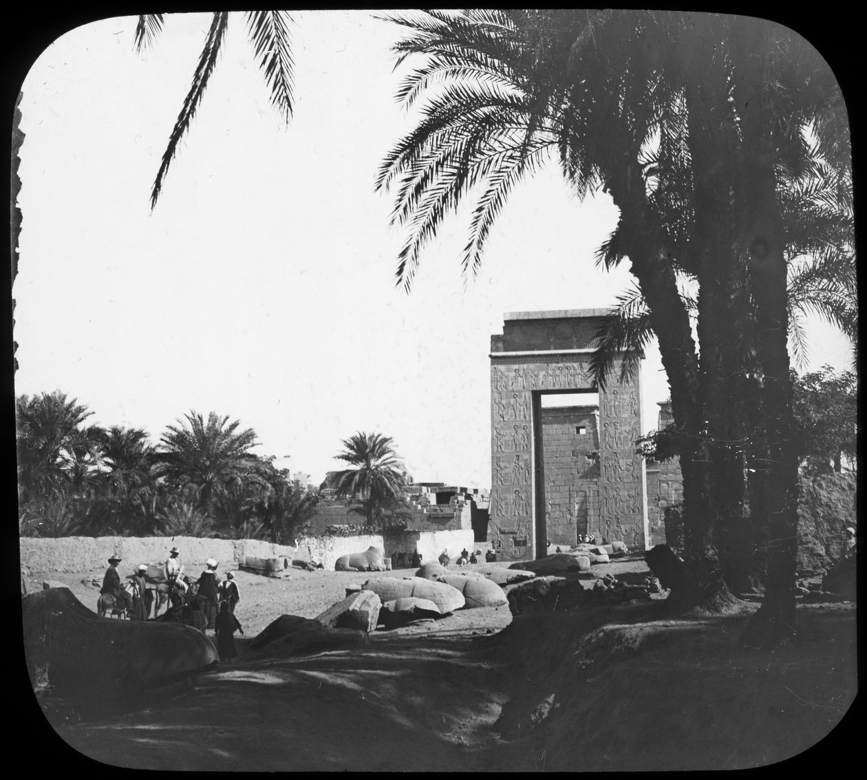 Avenue of Sphinxes, Karnak, Egypt, c1890 od Newton and Co