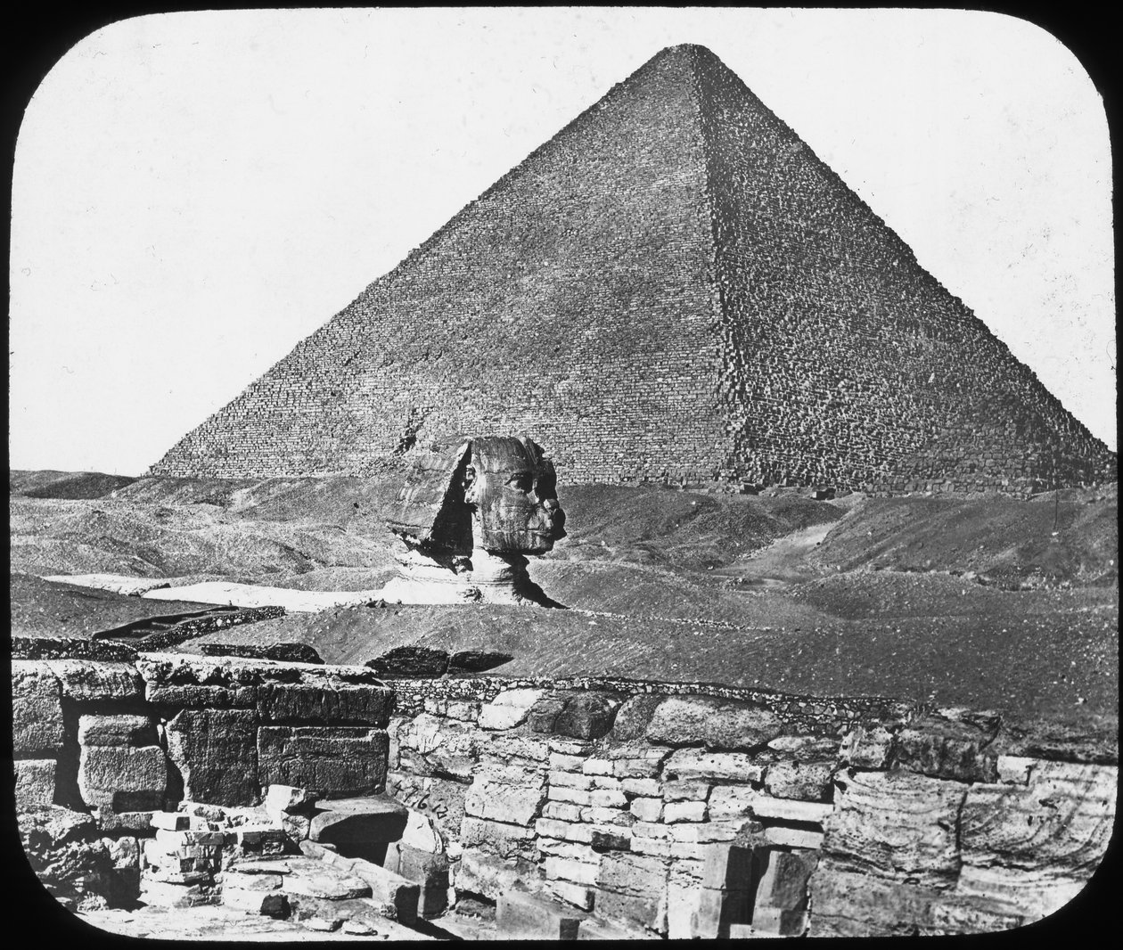 Velká sfinga v Gíze, Egypt, c1890. od Newton and Co