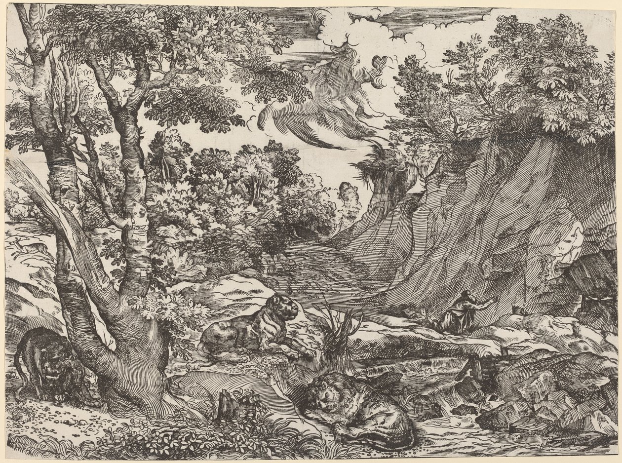 Svatý Jeroným v divočině od Niccolò Boldrini after Titian