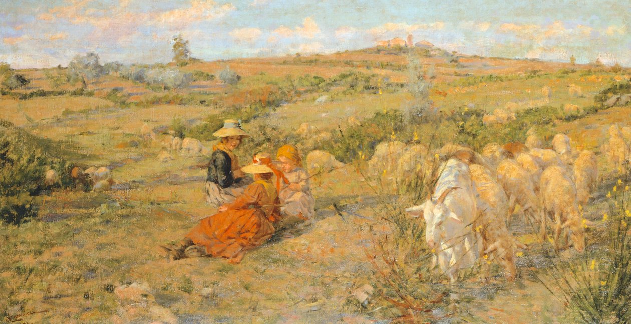 Horské květiny od Niccolo Cannicci