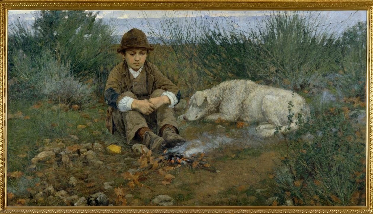 Ve dřevě od Niccolo Cannicci