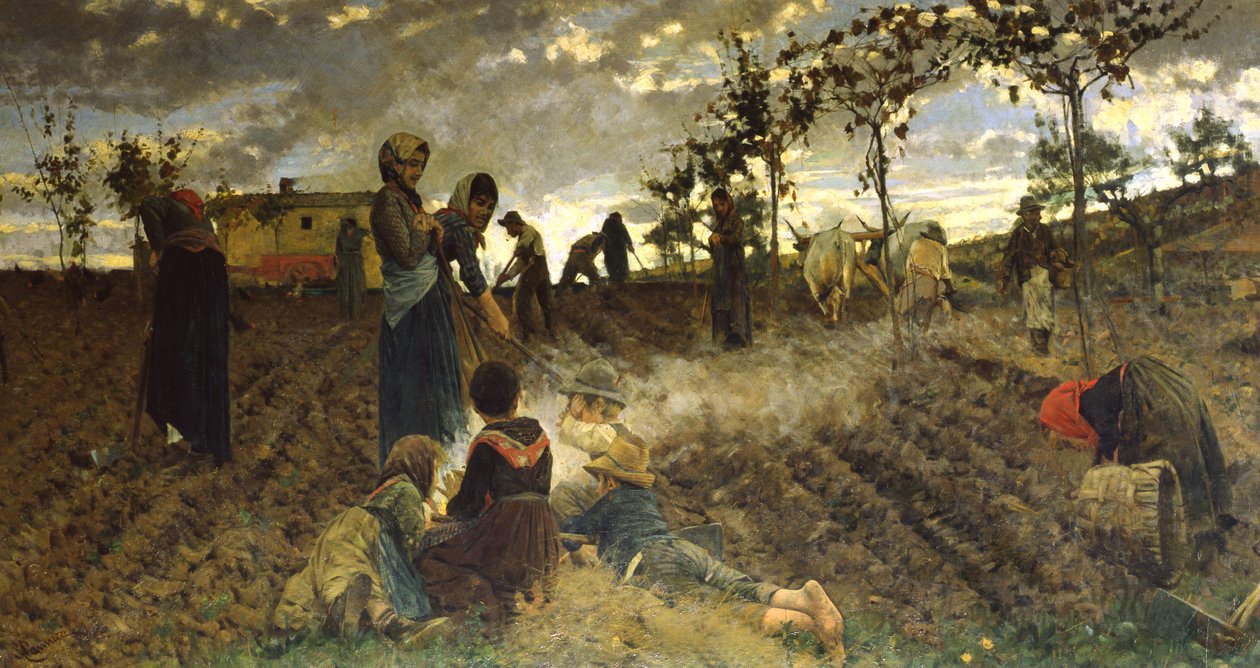 Setí v Toskánsku od Niccolo Cannicci