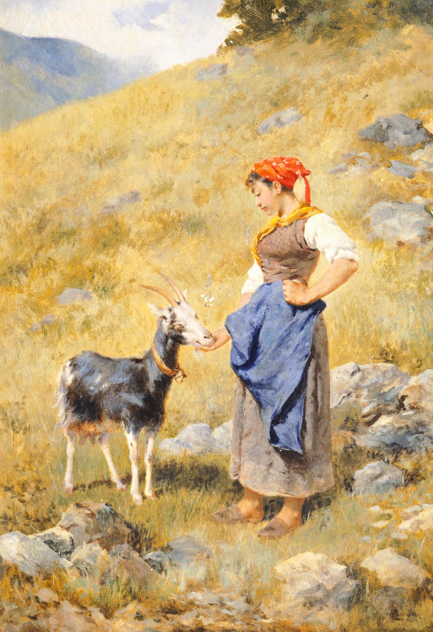 Pastýřka, Niccolo Cannicci (1846-1906) od Niccolo Cannicci
