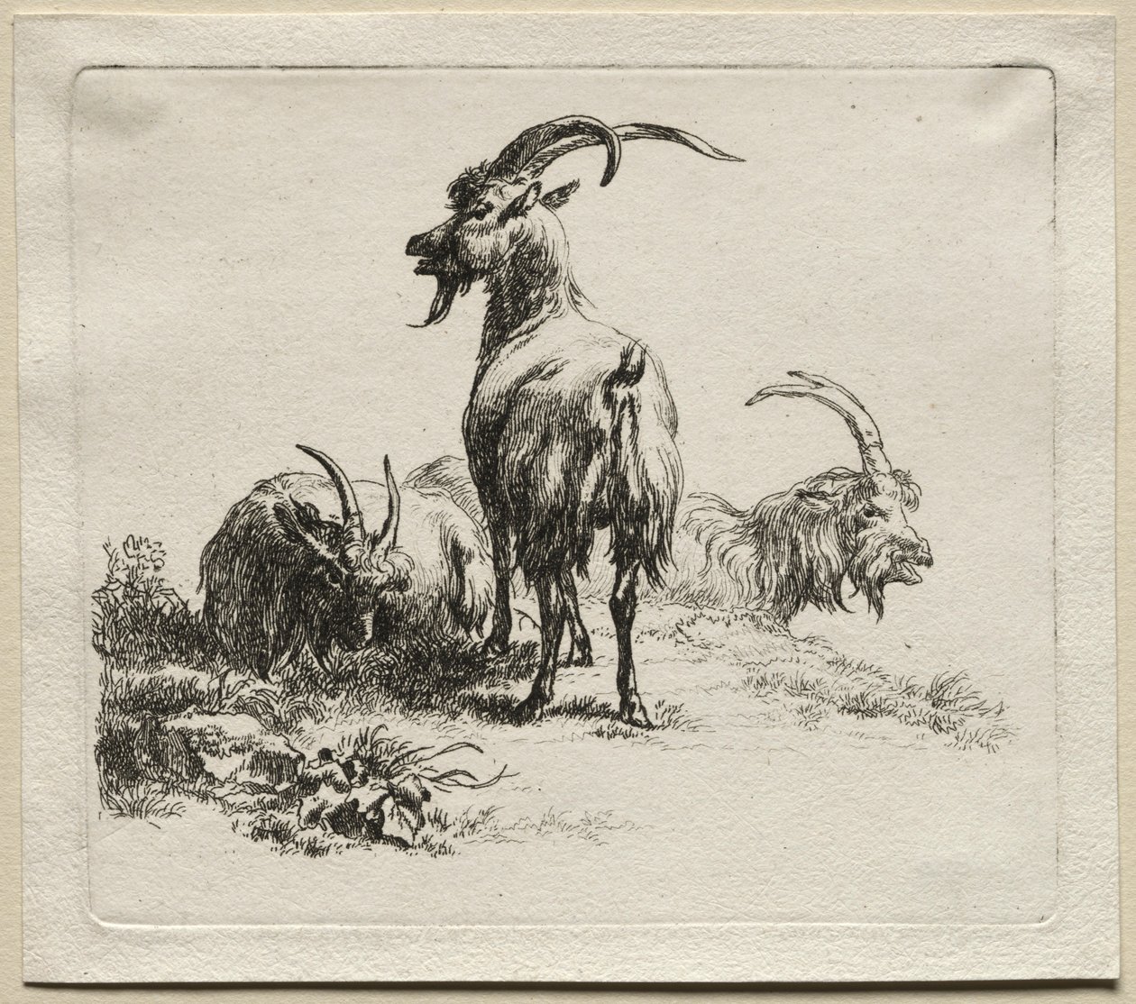 Tři kozy. od Nicolaes Pietersz. Berchem