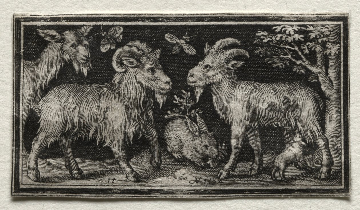 Kozy a zajíc, 1594. od Nicolaes de Bruyn
