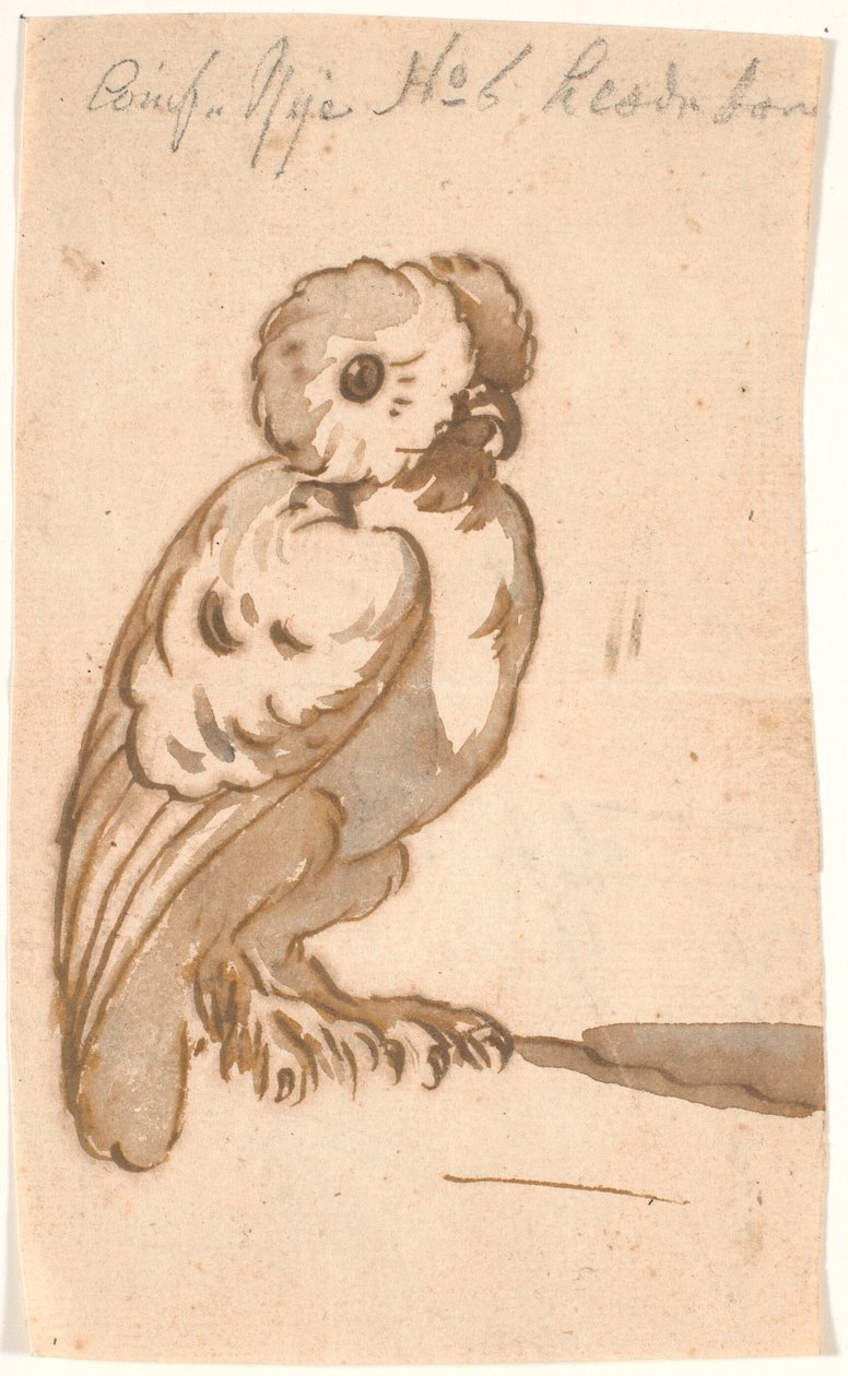 Sova od Nicolai Abildgaard