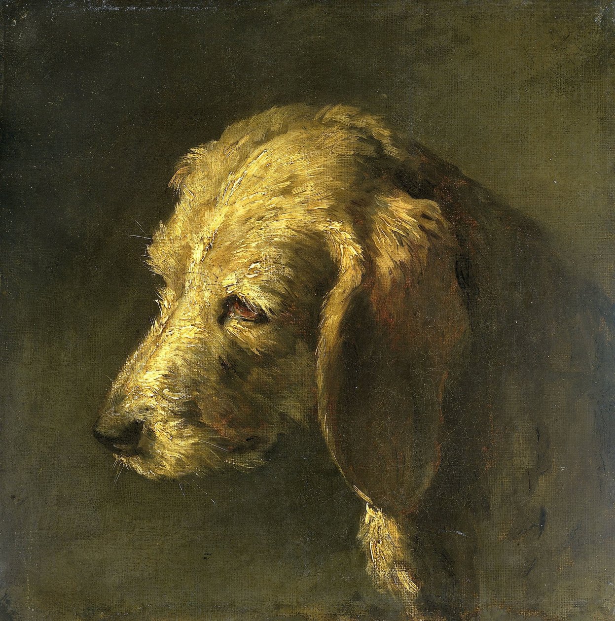 Hlava psa od Nicolas Toussaint Charlet (attributed to)