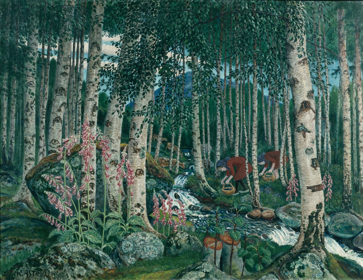 Náprstníky od Nikolai Astrup