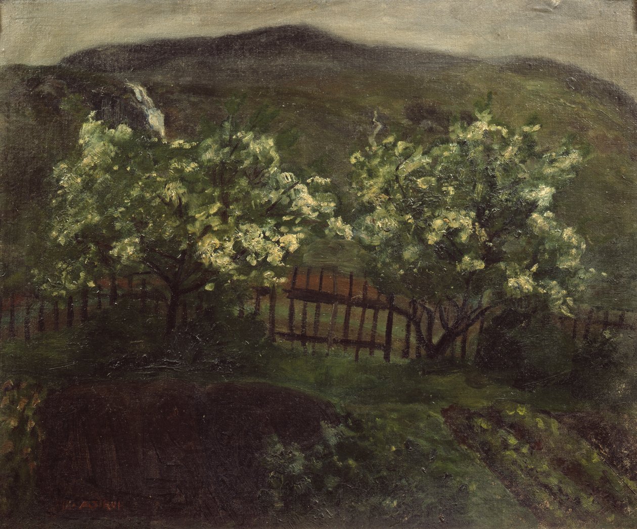 Jarní déšť a třešeň od Nikolai Astrup