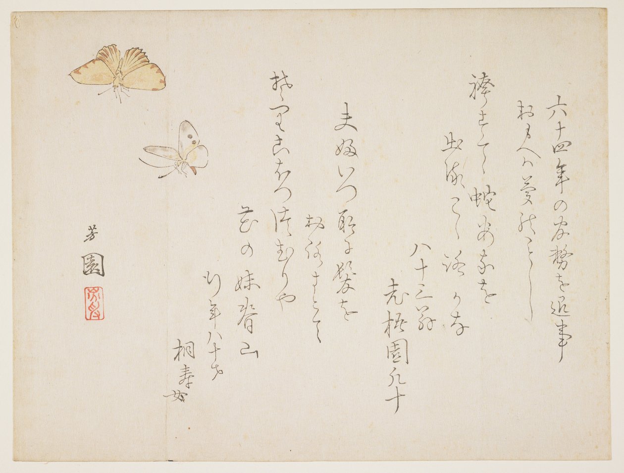 (motýli) od Nishiyama Hoen