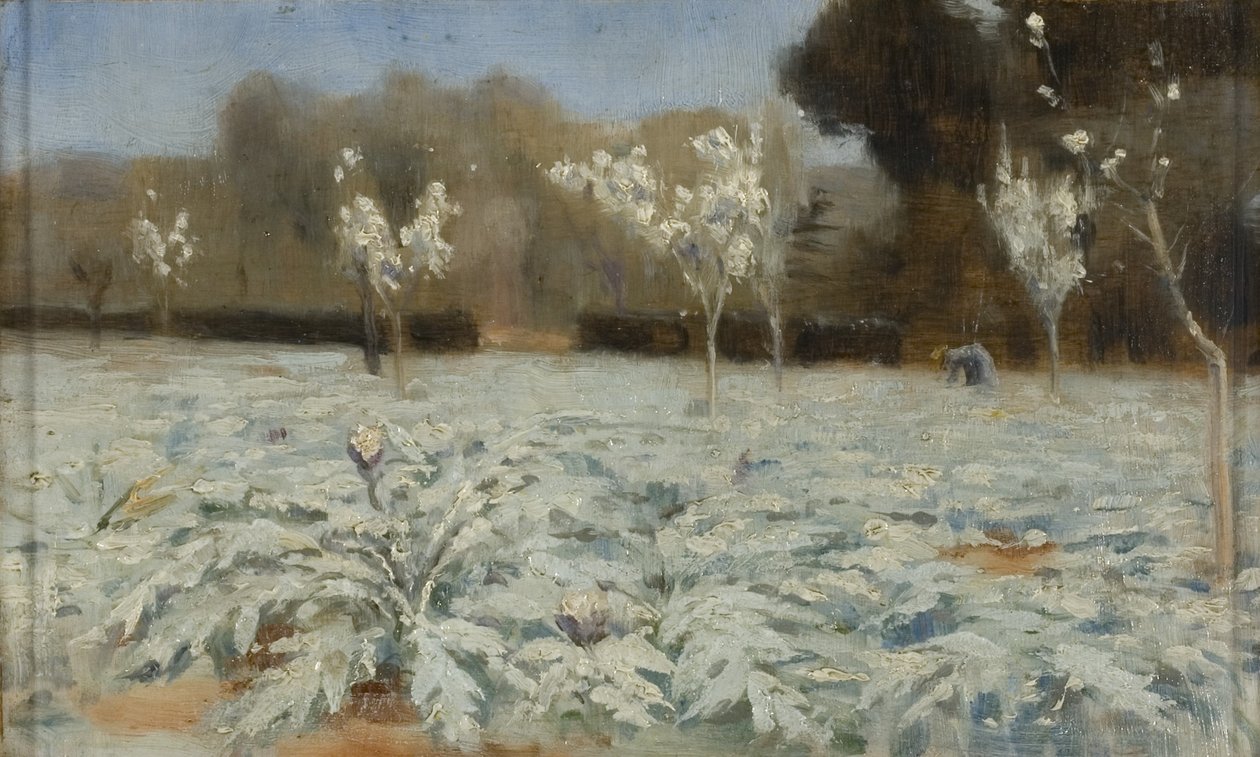 Artyčoky, Hyeres od Norman Garstin