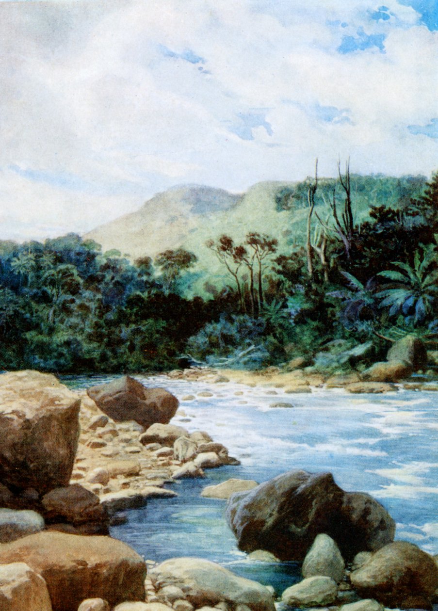 Krajina v Eromanga, Nové Hebridy, 1908 od Norman Hardy