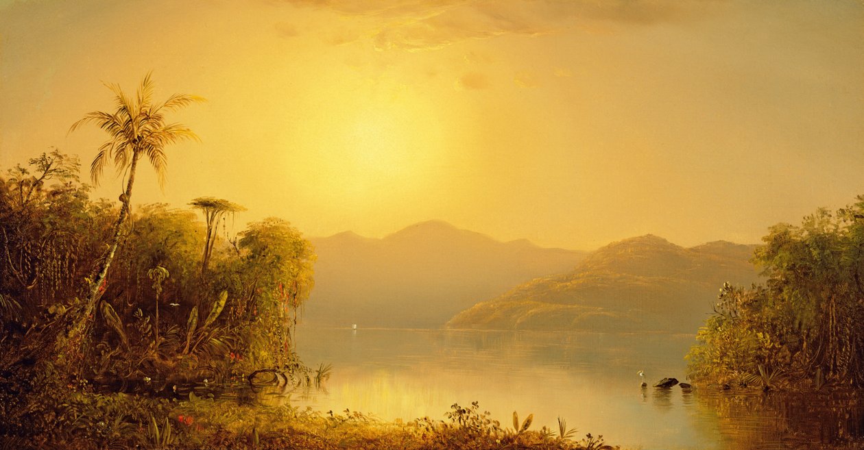 Tropy Jižní Ameriky, 1870 od Norton Bush