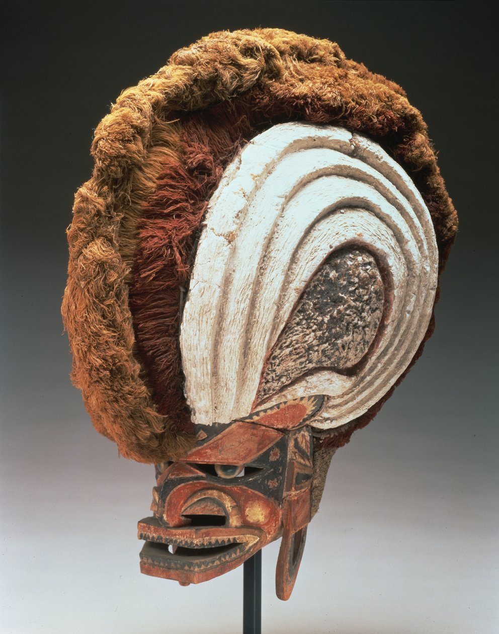 Maska přilby (tatanua), Severní Nové Irsko, Papua Nová Guinea, 1884-95 (dřevo, barva, skořápky operculy, vápenná omítka, rostlinná vlákna, kůra, látka z kůry, ratan a šňůra) (viz také 169883) od Oceanic