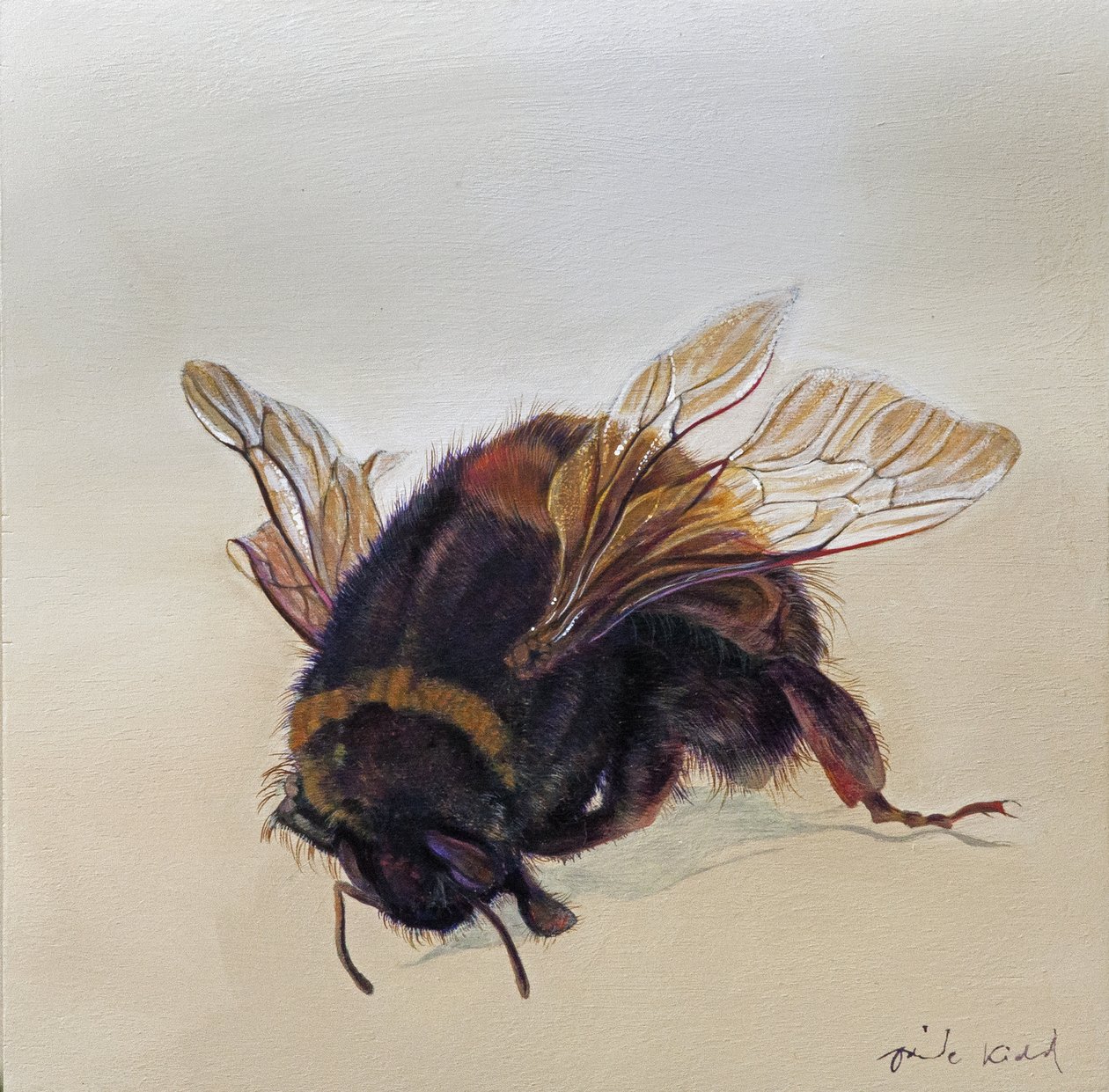 Bombus terrestris 10, 2013 (akryl na dřevě) od Odile Kidd