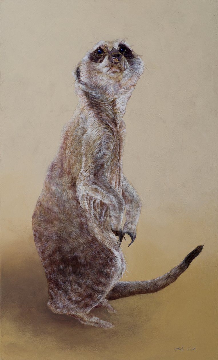 Surikata 2, 2010 (akryl na dřevě) od Odile Kidd