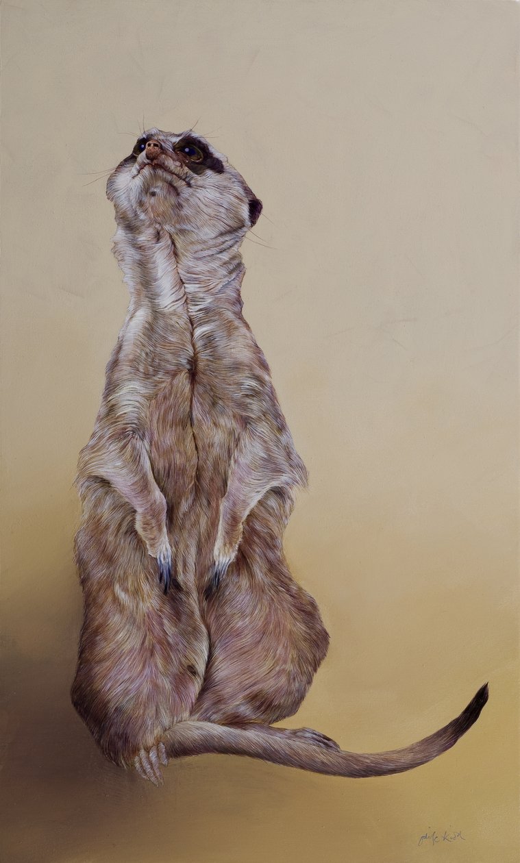 Surikata 3, 2010 (akryl na dřevě) od Odile Kidd