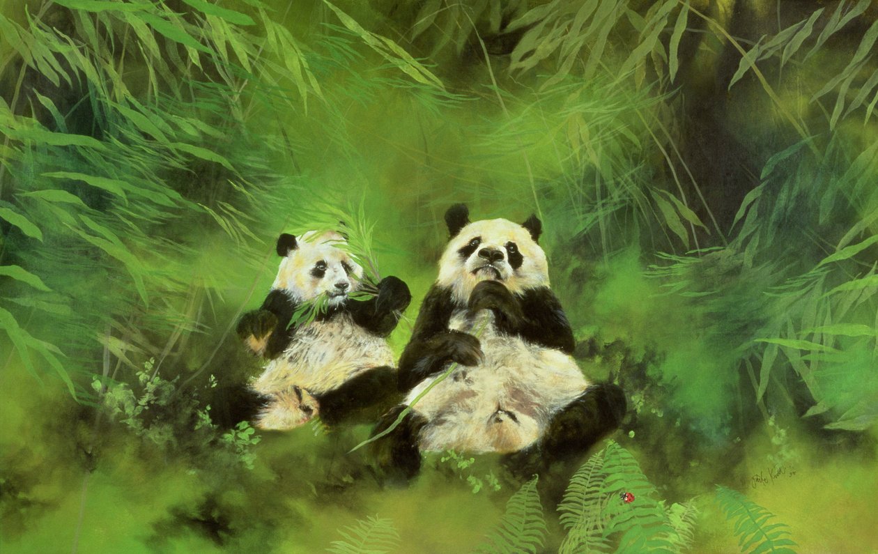 Pandy od Odile Kidd