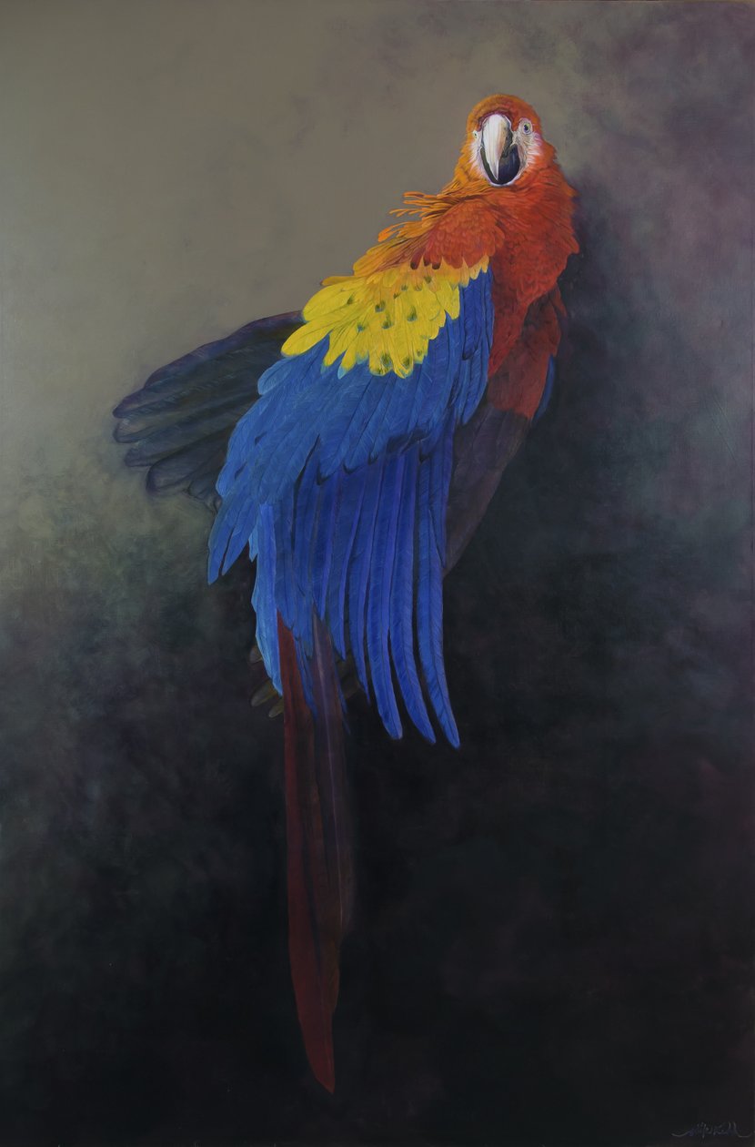 Makak šarlatový 3, 2014 (akryl na plátně) od Odile Kidd