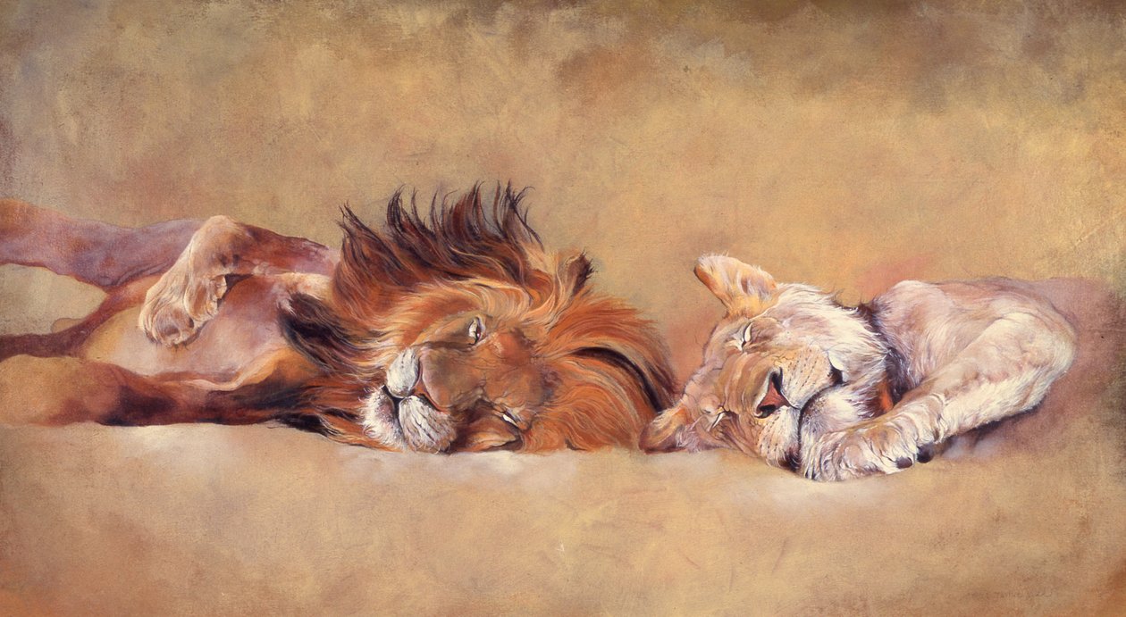 Siesta od Odile Kidd