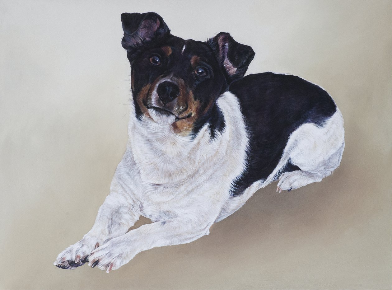 Spike, 2012 (akryl na dřevě) od Odile Kidd