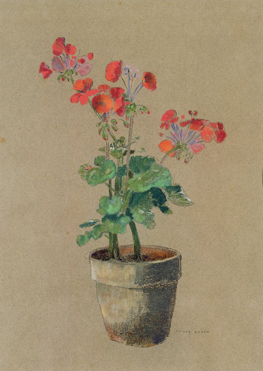 Muškáty v květináči (pastel) od Odilon Redon