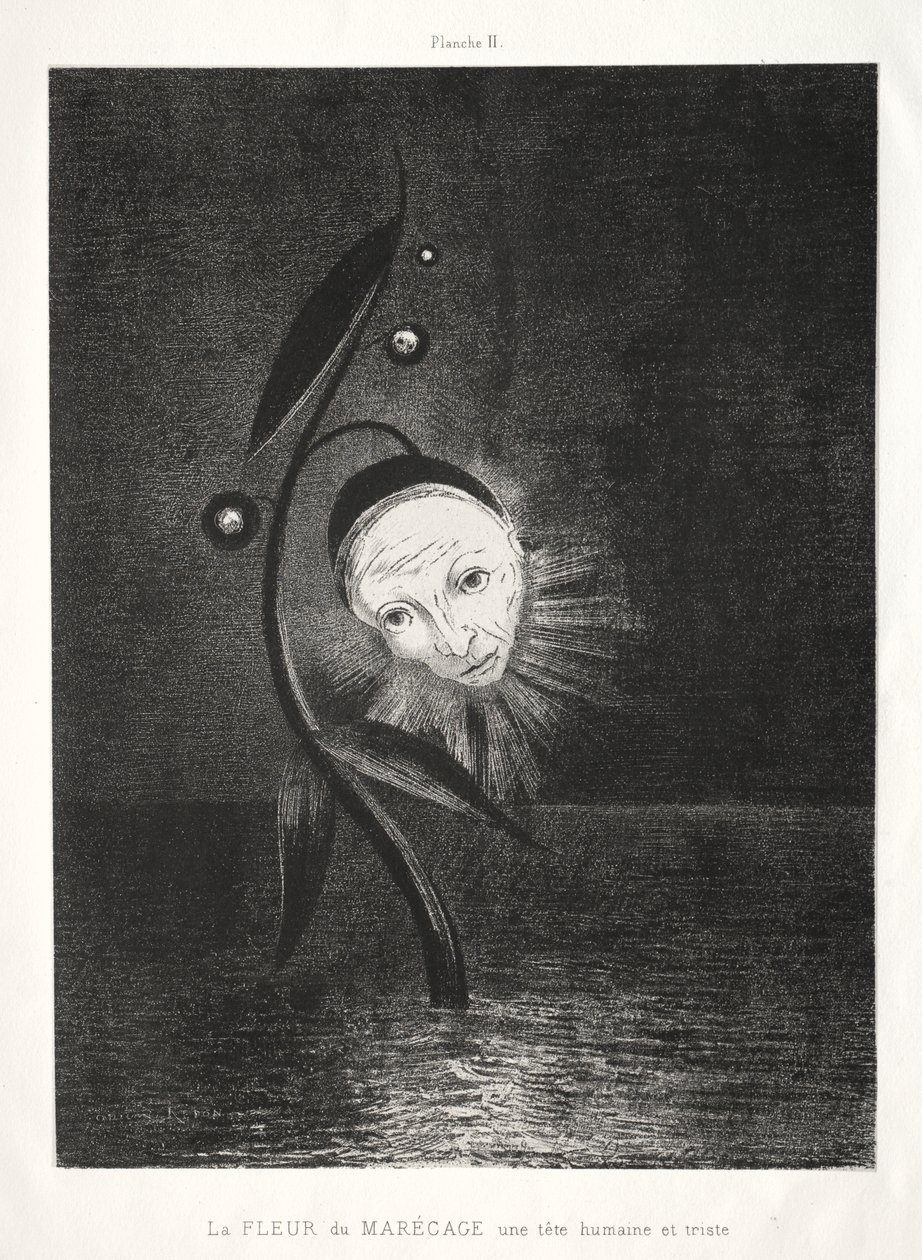 Marsh Flower, smutná lidská hlava od Odilon Redon