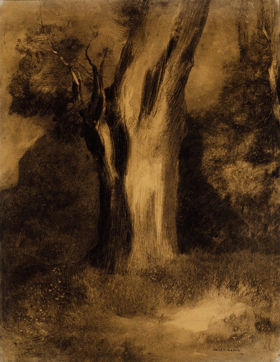 Strom od Odilon Redon