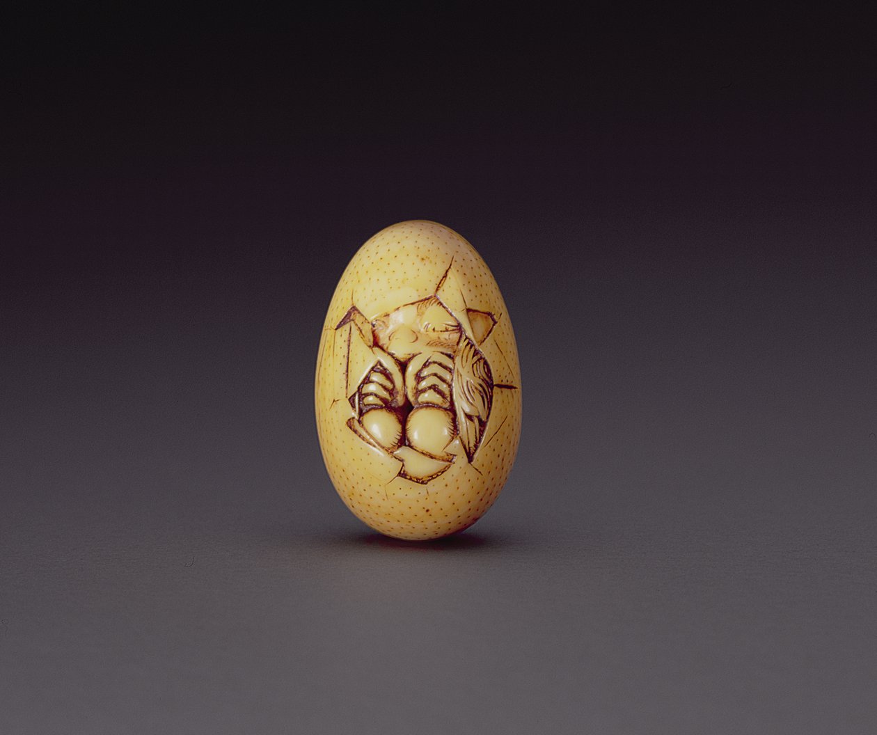 Netsuke zobrazující mládě vylamující se z krunýře, c.1760-80 od Ogasawara Issai