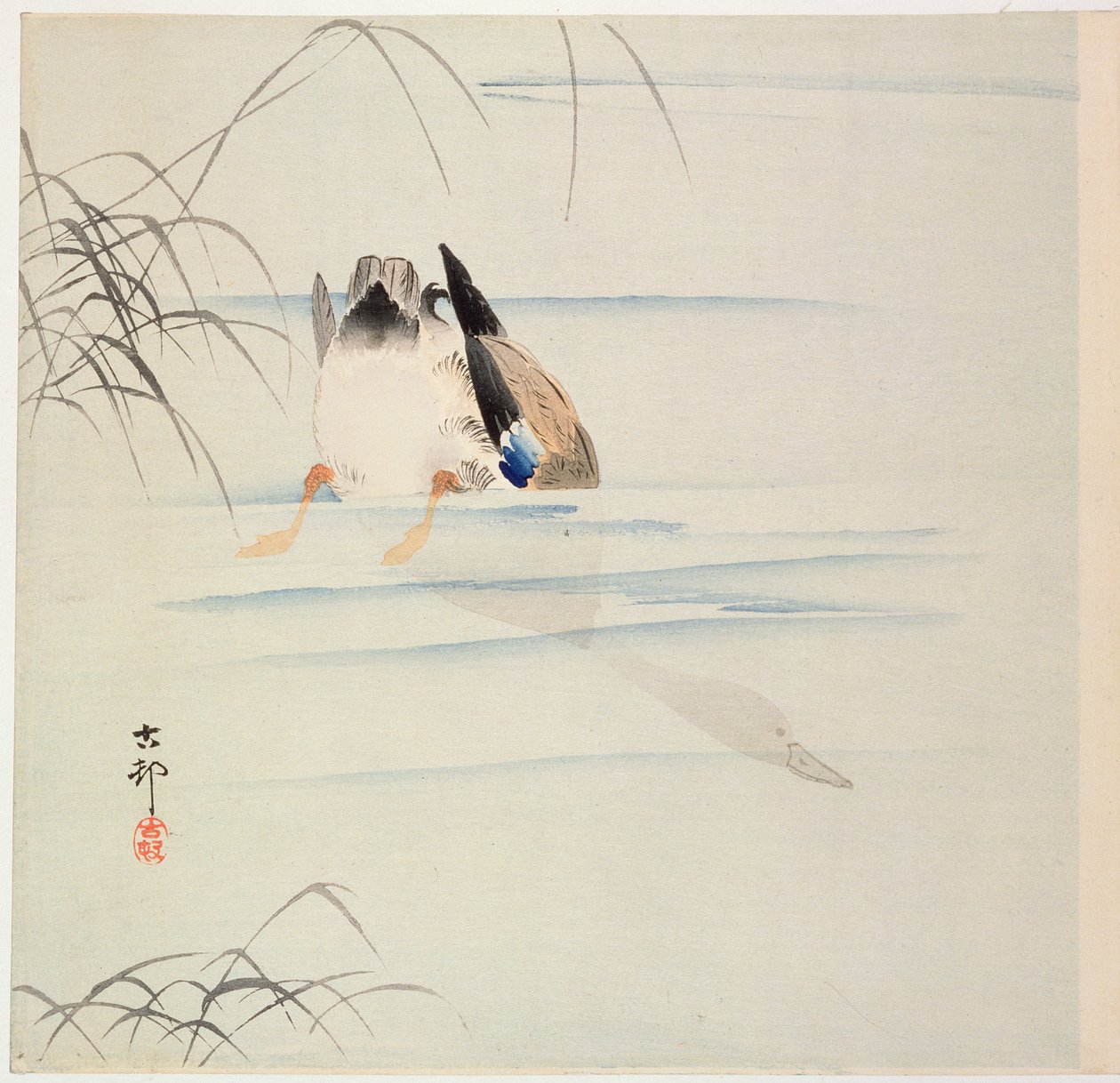 Duck Diving, c. počátek 20. století (barevný dřevořez) od Ohara Koson