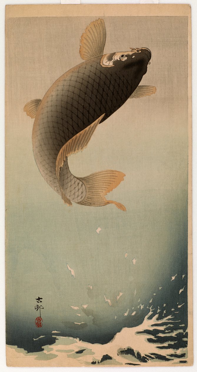 Kapr skákavý (barevný dřevořez) od Ohara Koson