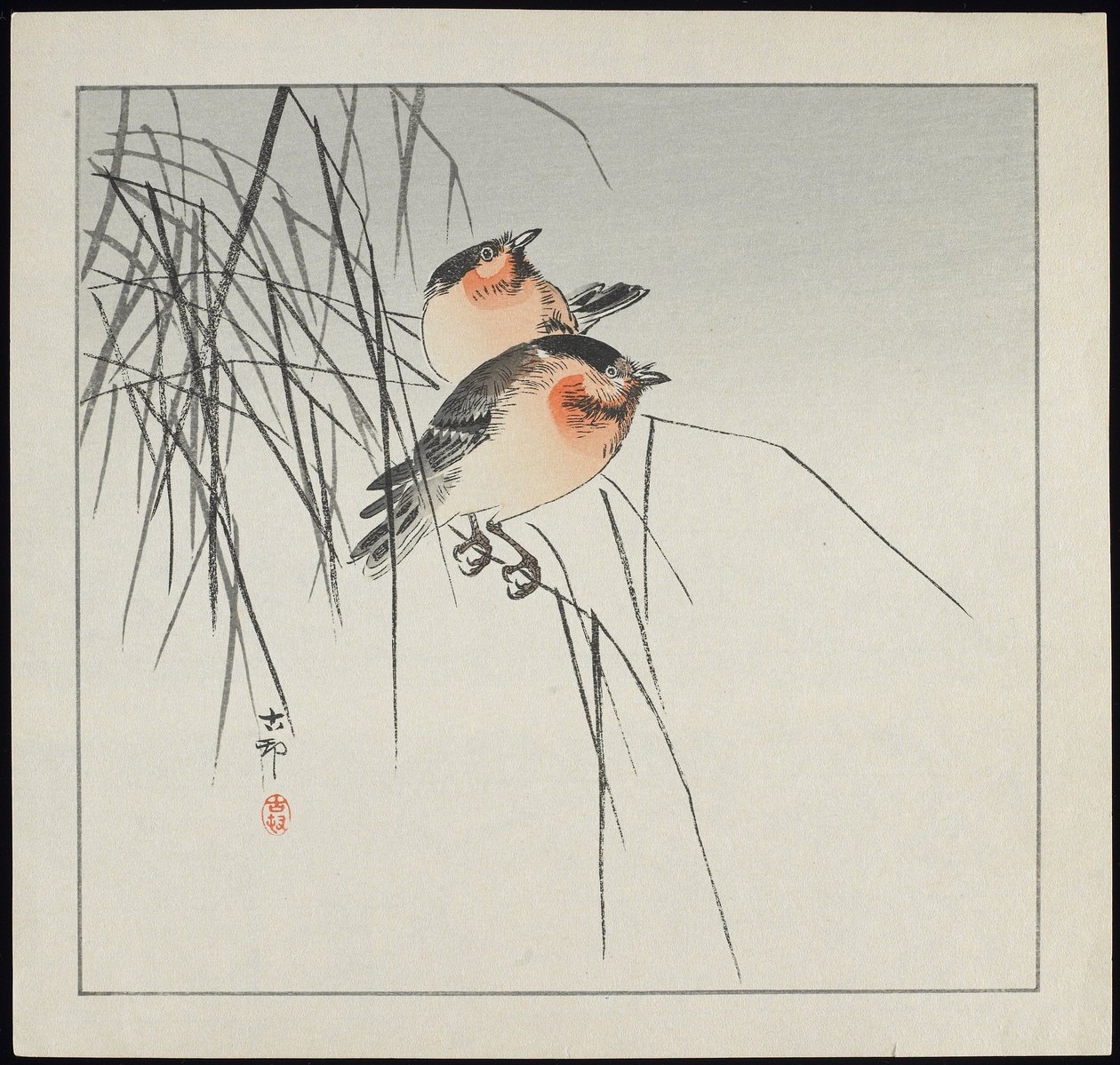 Dva ptáci na rákosí, před rokem 1912 od Ohara Koson
