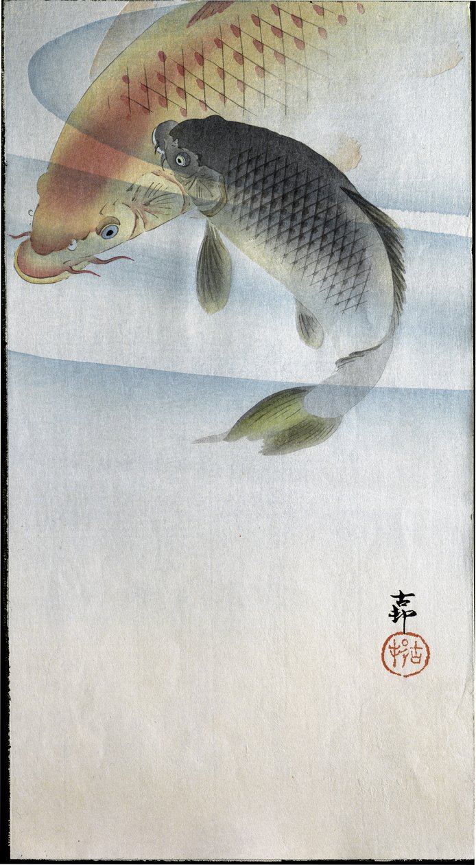 Dva kapři v řece, 1907 od Ohara Koson