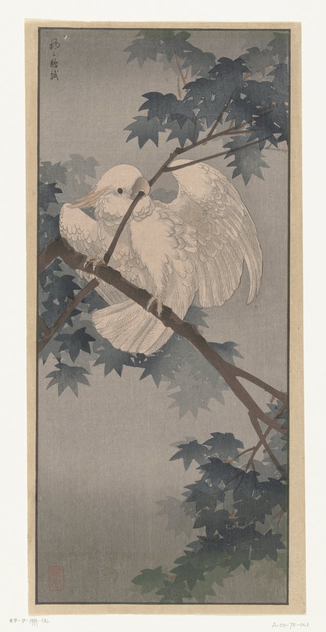 Kakadu žlutolící na stromě od Ohara Koson (attributed to)