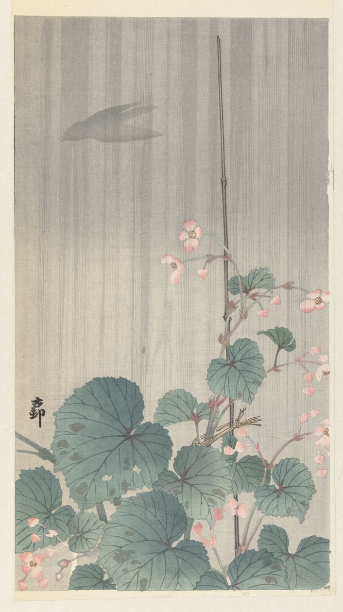 Begonia v dešti od Ohara Koson