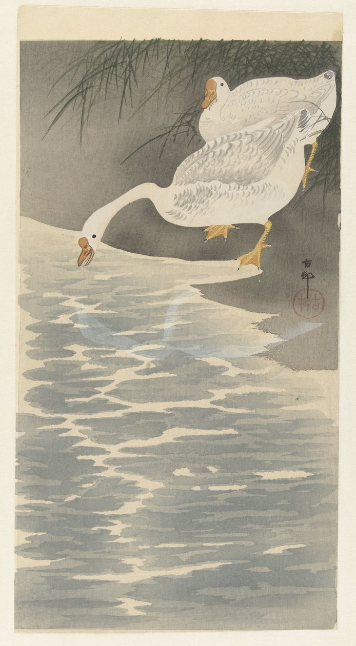 Husy na břehu od Ohara Koson