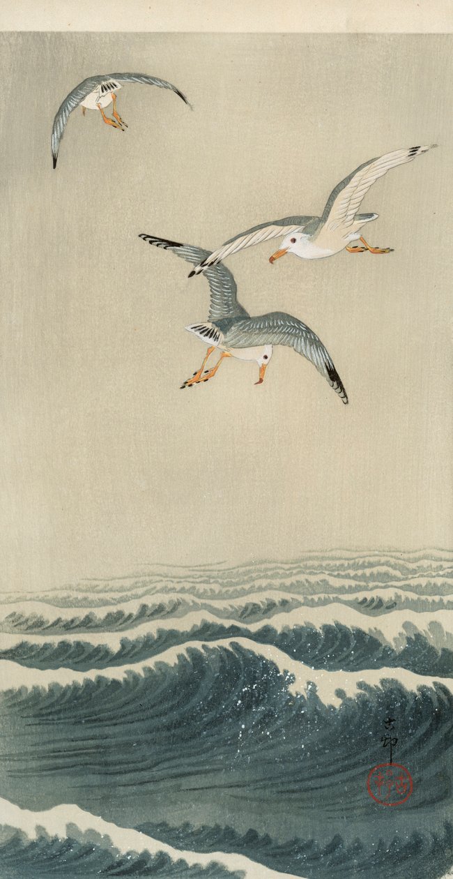 Racci na moři od Ohara Koson