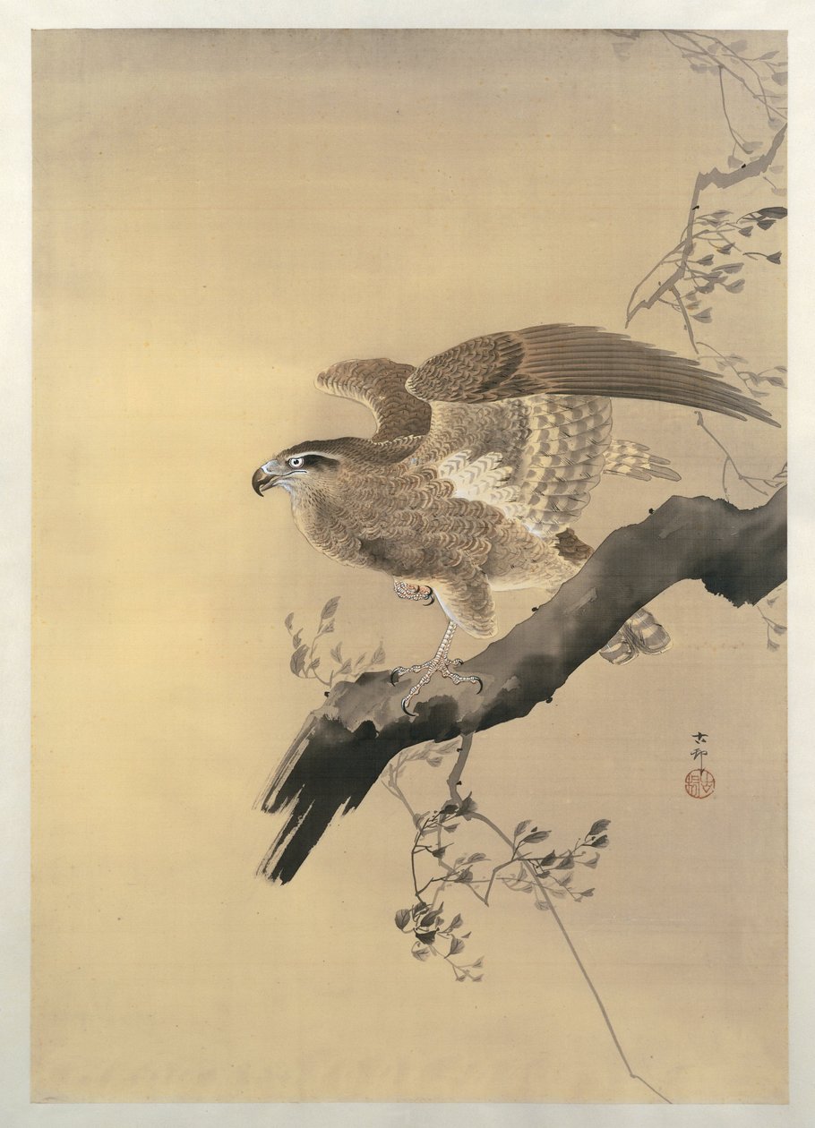 Hawk (štětec) od Ohara Koson