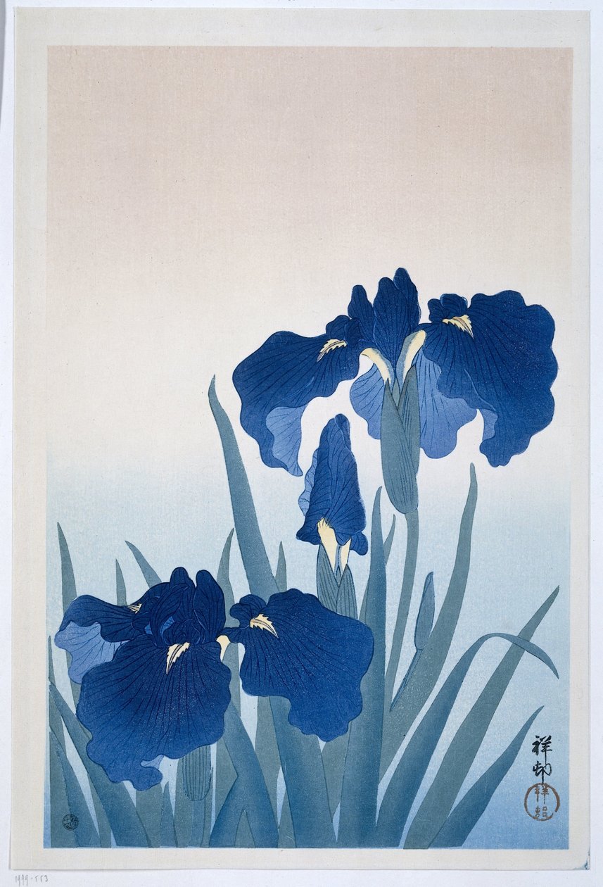 Kosatce od Ohara Koson