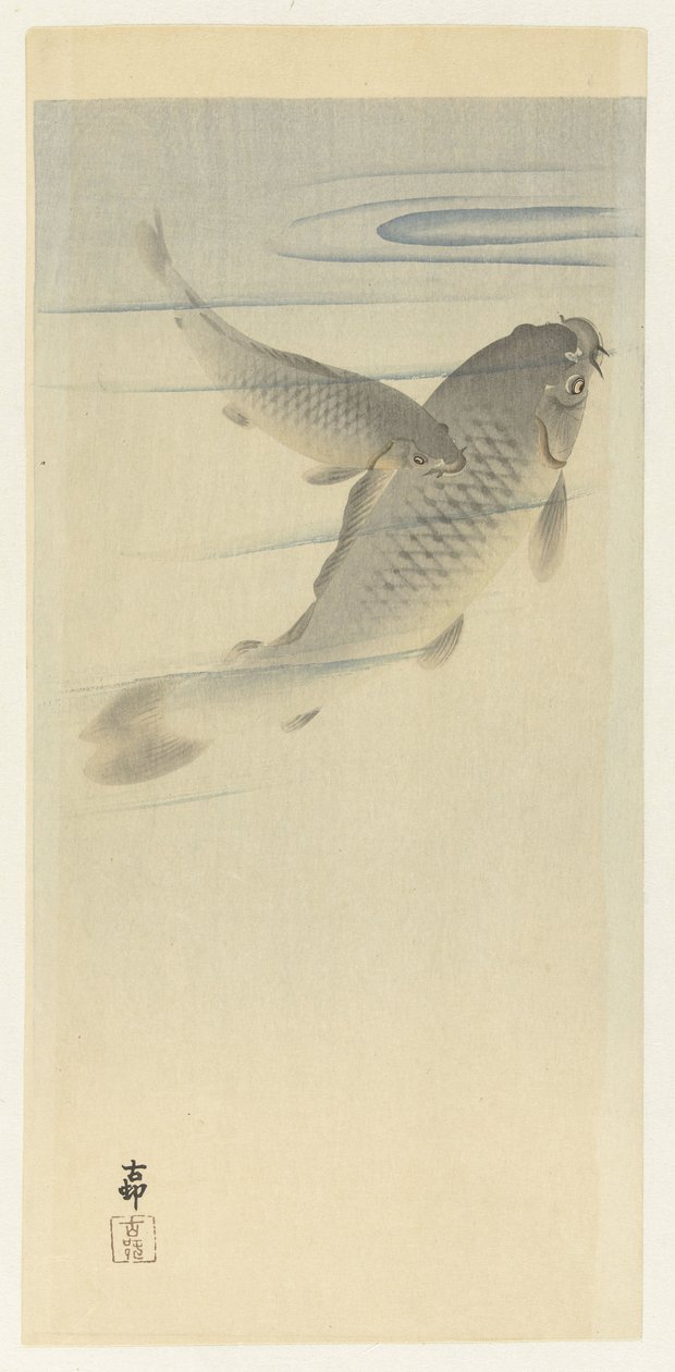 kapr od Ohara Koson