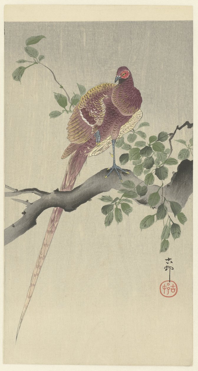 koperfazant od Ohara Koson