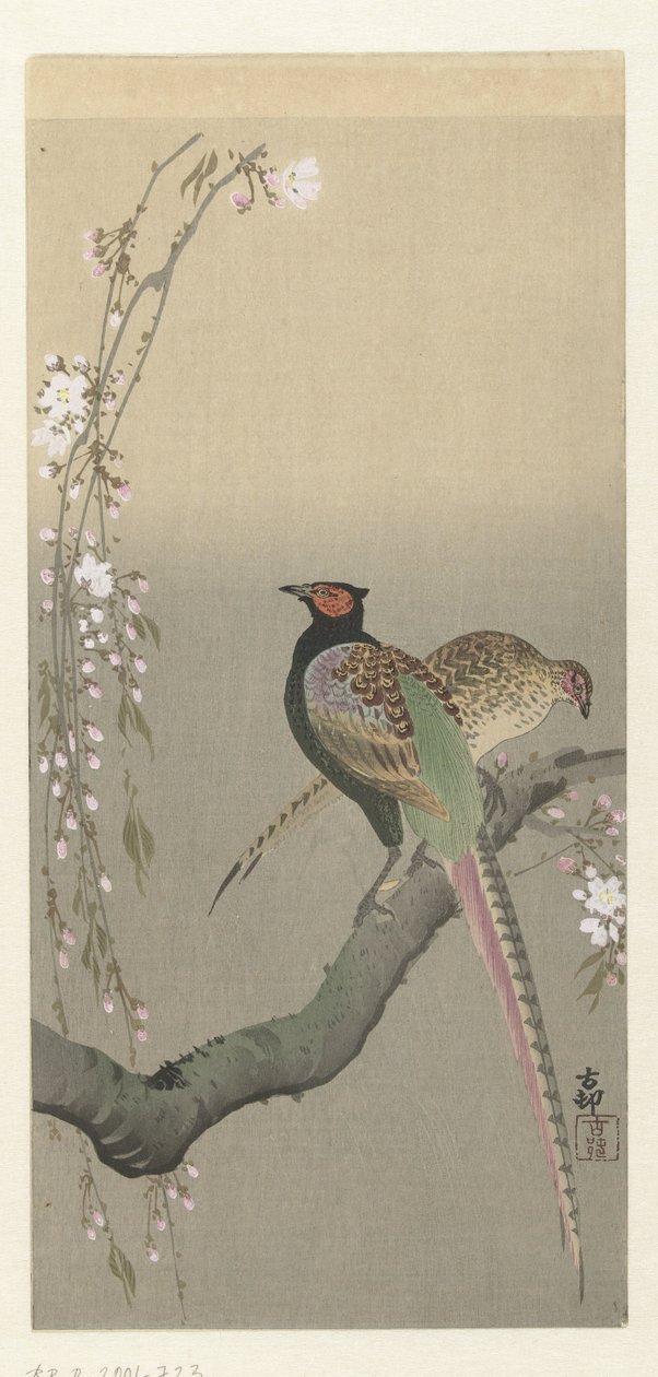 Pár bažantů a třešňového květu od Ohara Koson
