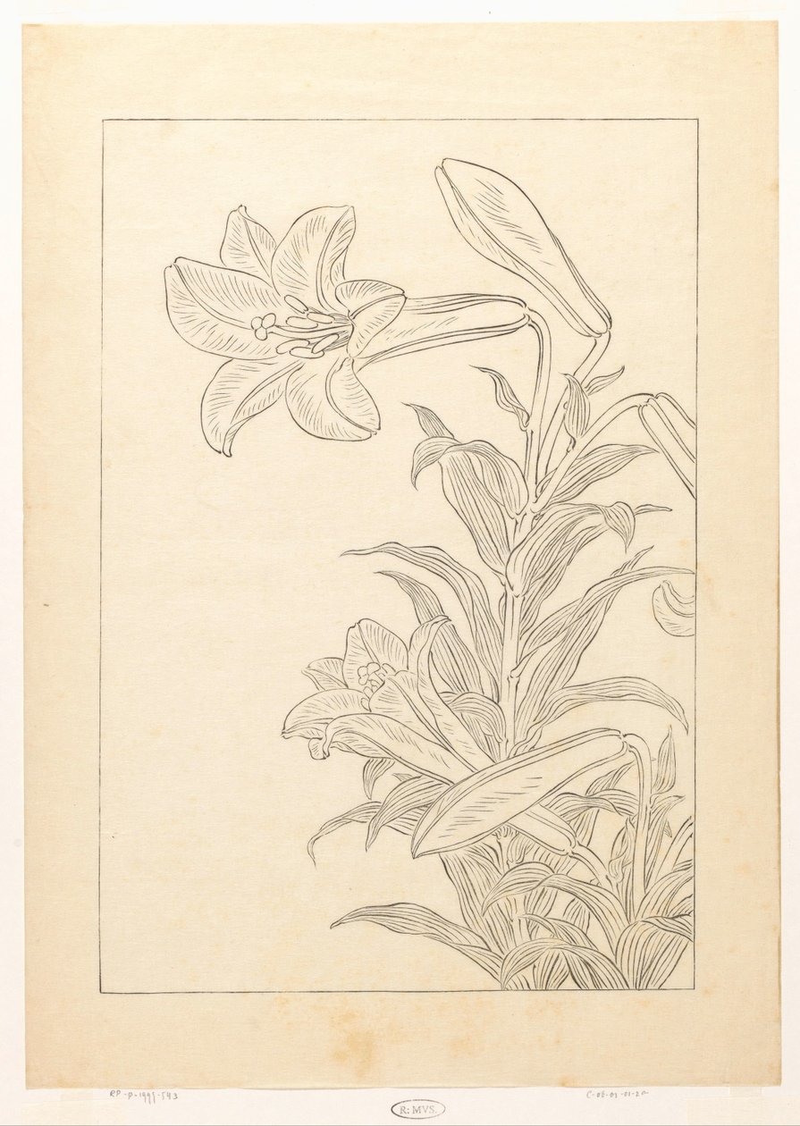 Lelies od Ohara Koson