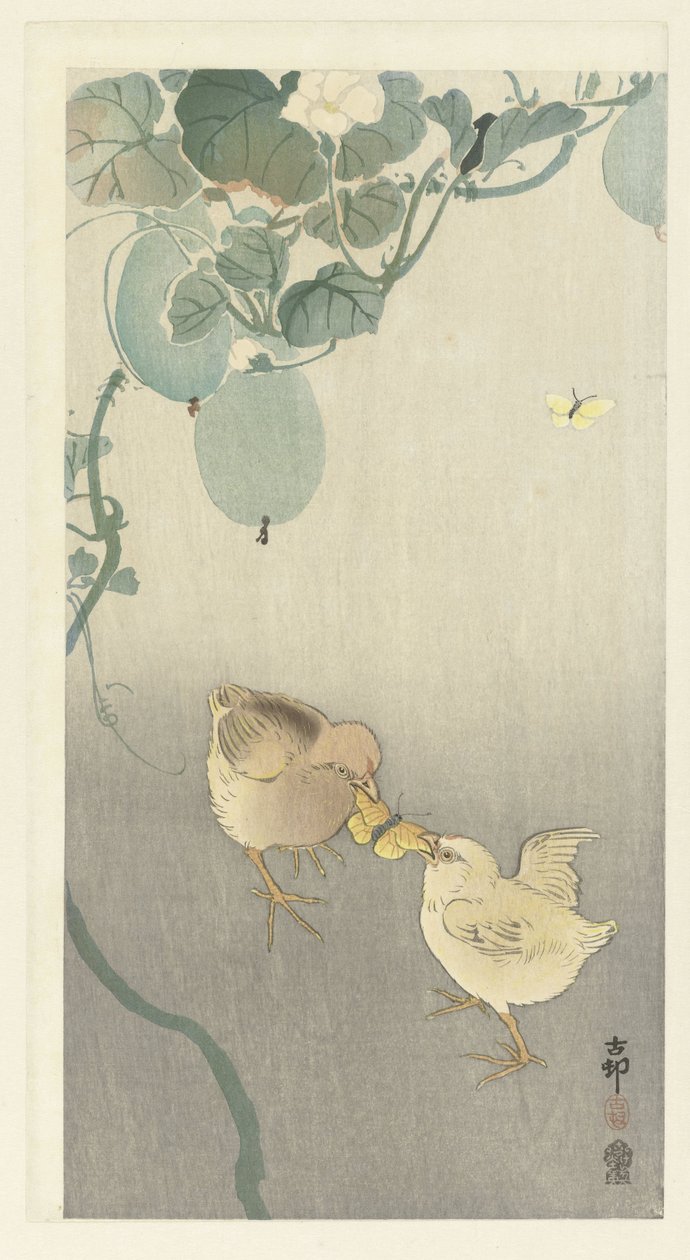 Dvě kuřátka bojující o motýla od Ohara Koson