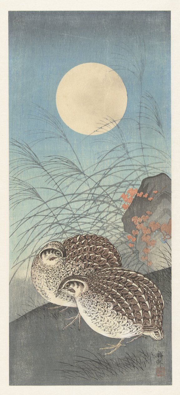 Dvě křepelky za úplňku. od Ohara Koson
