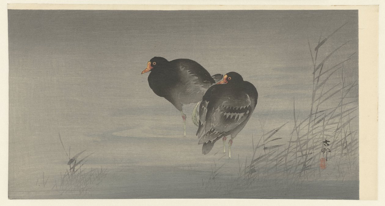 Dva Moorhens od Ohara Koson